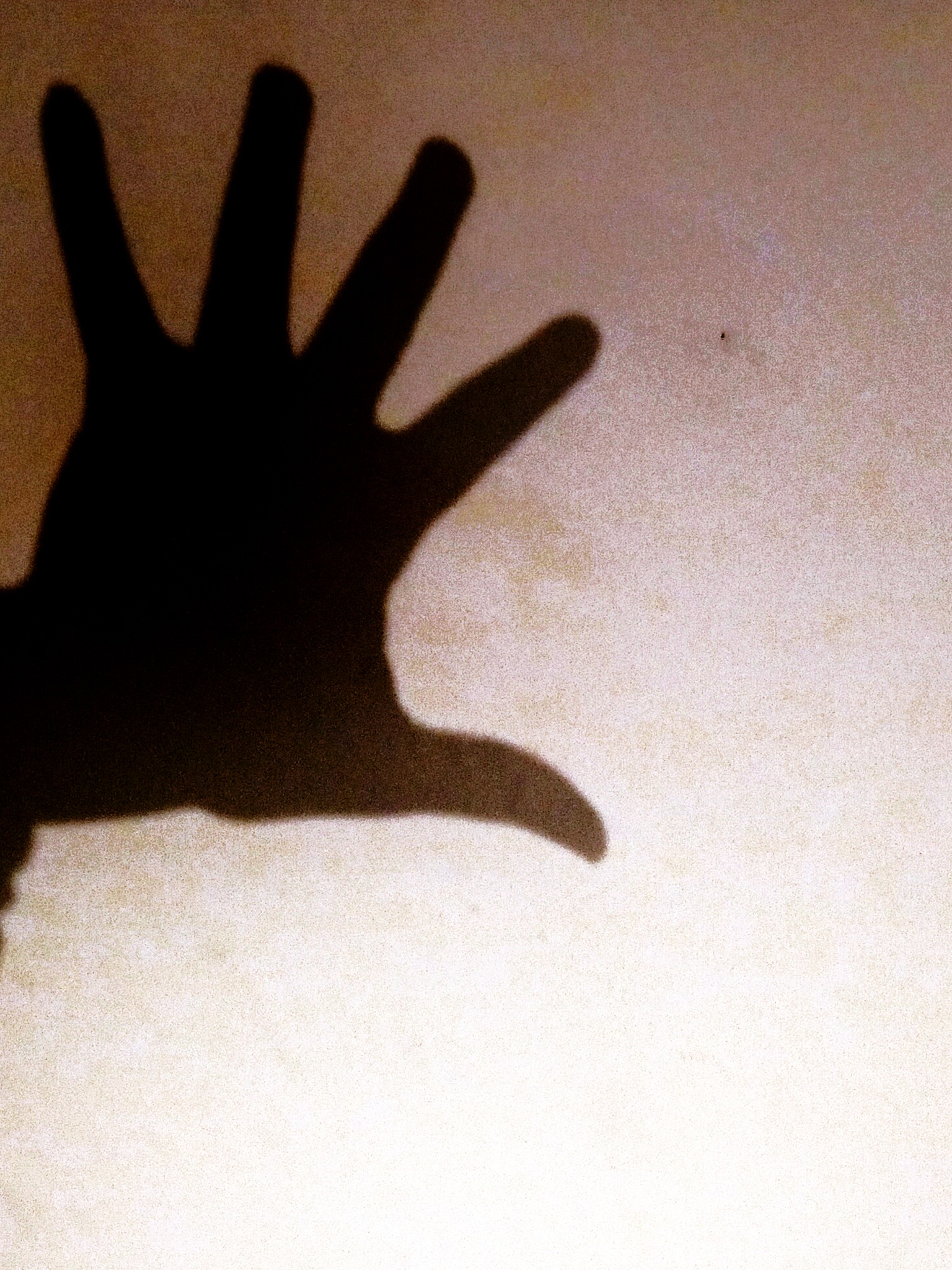 Five Silent Witnesses